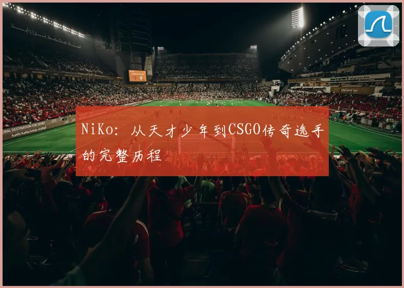 NiKo：从天才少年到CSGO传奇选手的完整历程