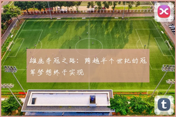 雄鹿夺冠之路：跨越半个世纪的冠军梦想终于实现