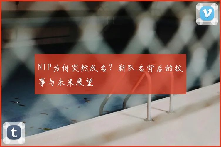 NIP为何突然改名？新队名背后的故事与未来展望