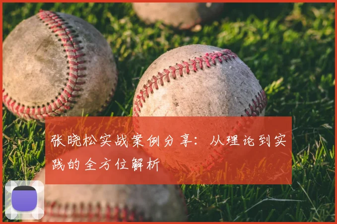 张晓松实战案例分享：从理论到实践的全方位解析