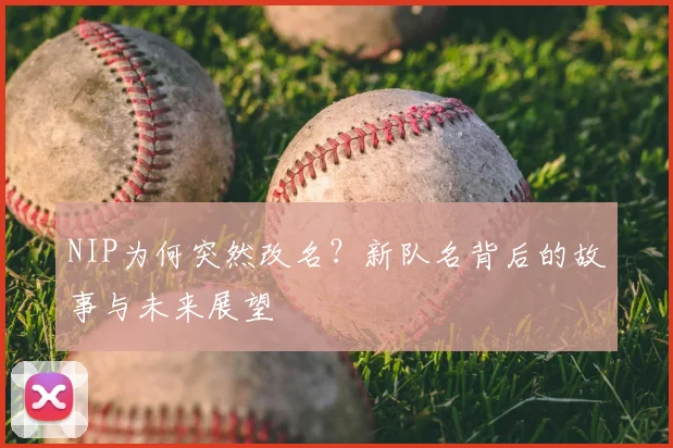 NIP为何突然改名？新队名背后的故事与未来展望